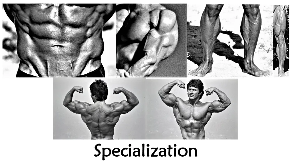 Blog 33 – Specialization
