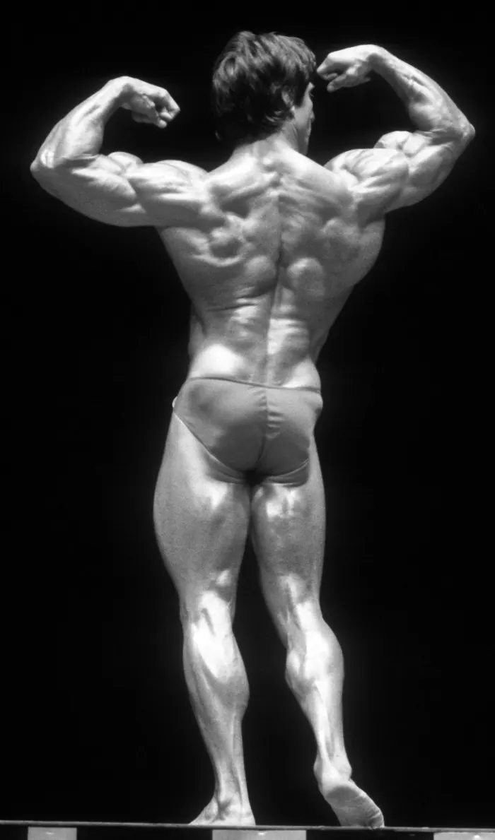 A textbook full-body rear double-biceps pose against pure black, dramatic rim lighting defining every line.