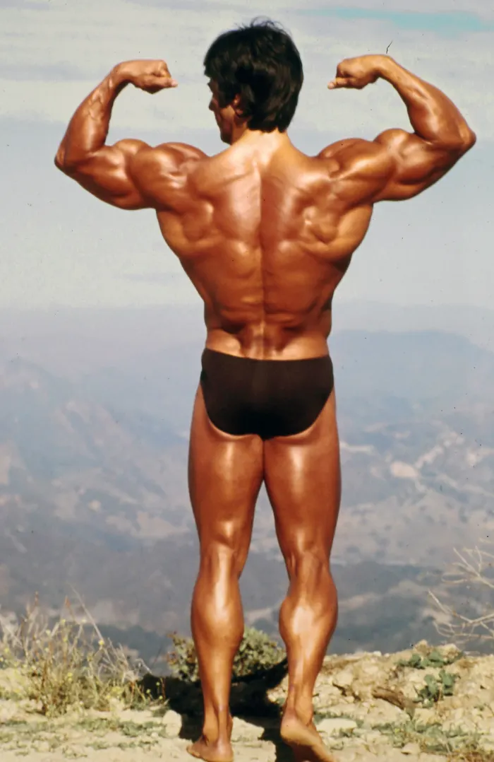 A back double-biceps pose atop the same mountaintop, hazy valley vista rolling into the distance.