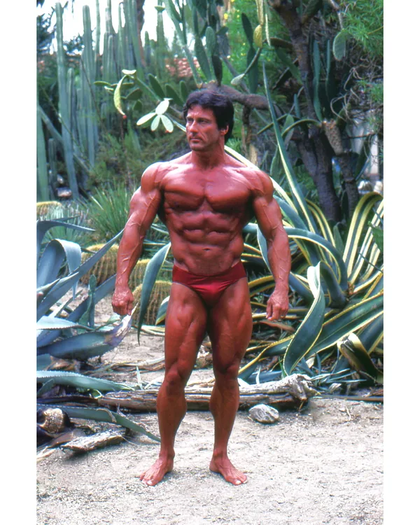 8. Frank Zane Color 8x10 Photo Moorten's Cactus Garden in Palm Springs by Christine Zane
