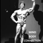 MIND BODY CONNECTION COVER