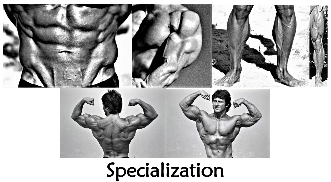 specialization pic