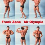 FRANK ZANE STUDIO