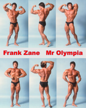 FRANK ZANE STUDIO